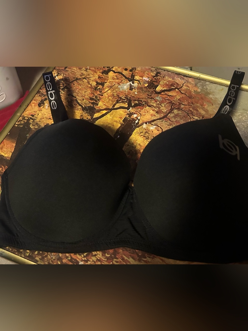 Plus Size Push -Up Underwire Bra